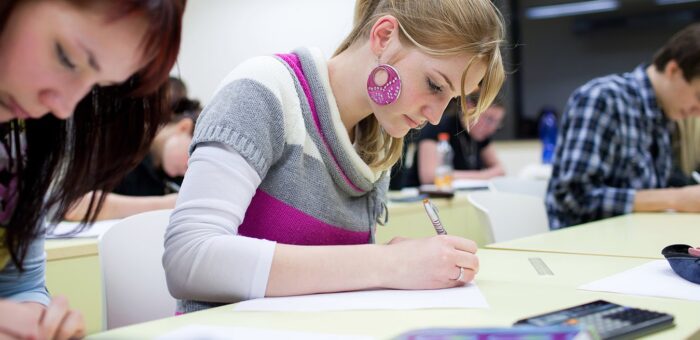 write a perfect dissertation