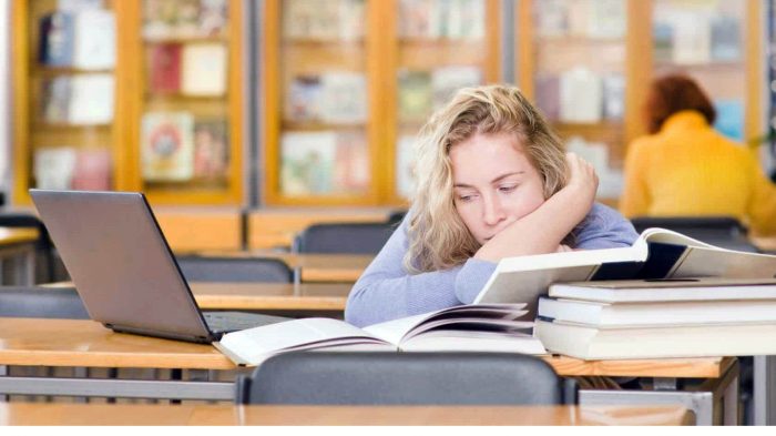 mastervunder 1 700x393 1